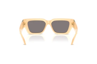 Vista posteriore Versace VE4497U (554473)