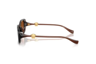 Vista laterale Versace VE4504D (533213)