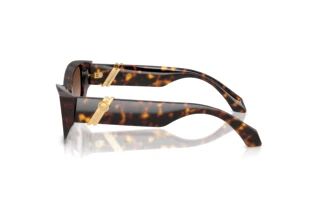 Vista laterale Versace VE4520U (108/13)
