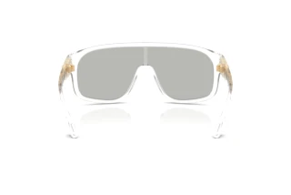 Vista posteriore Versace VE4526U (148/8V)
