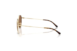 Vista laterale Vogue Eyewear VJ1002 (848/73)