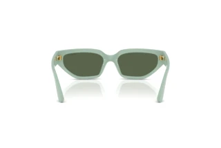 Vista posteriore Vogue Eyewear VJ2029 (320571)