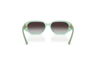 Vista posteriore Vogue Eyewear VJ2034 (32748G)