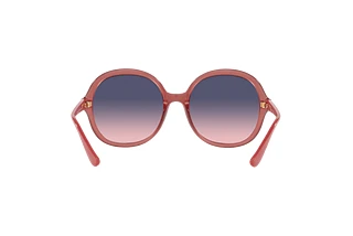 Vista posteriore Vogue Eyewear VO5410S (2968I6)