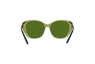 Vista posteriore Vogue Eyewear VO5457S (30332P)