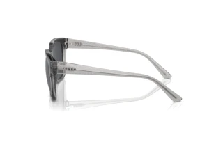 Vista laterale Vogue Eyewear VO5558S (313387)