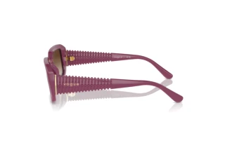 Vista laterale Vogue Eyewear VO5565S (312313)