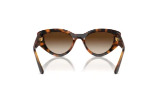 Vista posteriore Vogue Eyewear VO5566S (W65613)