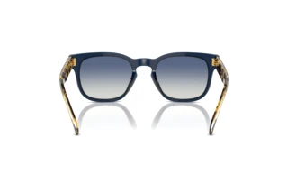 Vista posteriore Vogue Eyewear VO5571S (31434L)