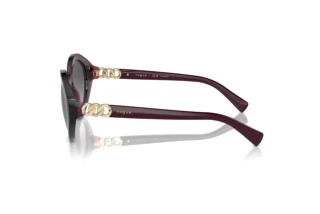 Vista laterale Vogue Eyewear VO5576SB (2989T3)