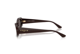 Vista laterale Vogue Eyewear VO5582S (225287)