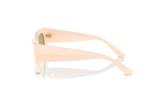 Vista laterale Vogue Eyewear VO5583S (316482)