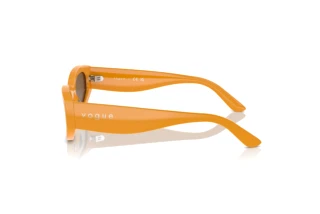 Vista laterale Vogue Eyewear VO5585S (315973)