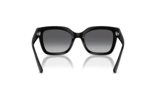 Vista posteriore Vogue Eyewear VO5613SB (W44/T3)