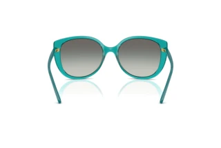 Vista posteriore Vogue Eyewear VO5623S (319111)