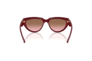 Vista posteriore Vogue Eyewear VO5629S (304814)