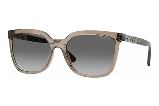 Vogue Eyewear VO5633SB 294011