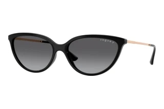 Vista frontale Vogue Eyewear VO5672S (W44/T3)