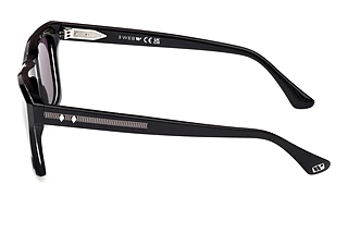 Vista laterale Web Eyewear WE0350 (05A)