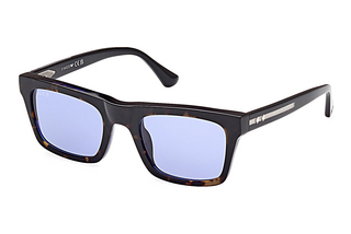 Web Eyewear WE0362 56V