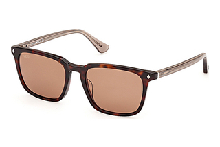 Web Eyewear WE0369 56E