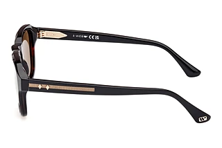 Vista laterale Web Eyewear WE0370 (56J)