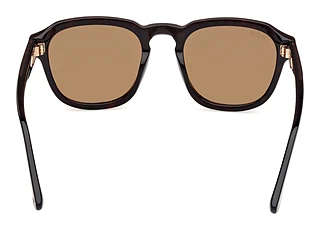 Vista posteriore Web Eyewear WE0370 (56J)