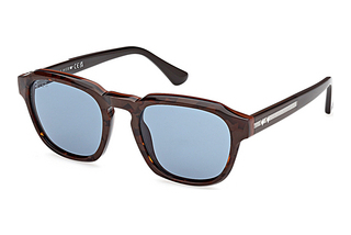 Web Eyewear WE0370 56V blauHavanna/Einfarbig