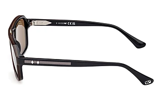 Vista laterale Web Eyewear WE0376 (50E)