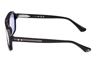 Vista laterale Web Eyewear WE0376 (56V)