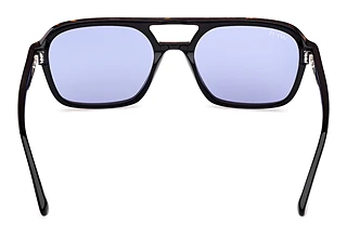 Vista posteriore Web Eyewear WE0376 (56V)