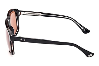 Vista laterale Web Eyewear WE0378 (56J)