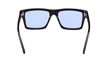 Vista posteriore Web Eyewear WE0383 (56V)