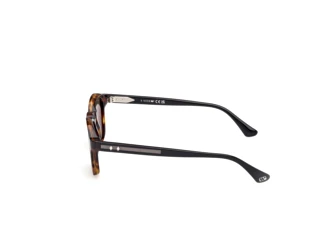 Vista laterale Web Eyewear WE0384 (55N)