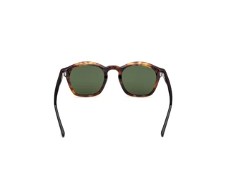 Vista posteriore Web Eyewear WE0384 (55N)