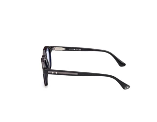 Vista laterale Web Eyewear WE0384 (56V)