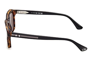 Vista laterale Web Eyewear WE0385 (55N)