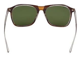 Vista posteriore Web Eyewear WE0386 (56N)