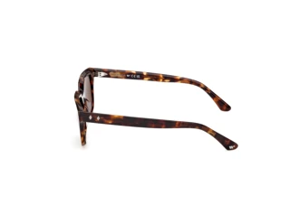 Vista laterale Web Eyewear WE0391 (52N)