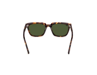 Vista posteriore Web Eyewear WE0391 (52N)