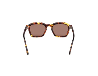 Vista posteriore Web Eyewear WE0392 (55E)