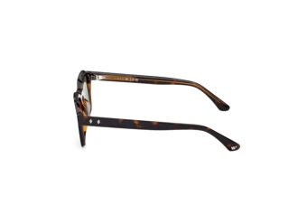 Vista laterale Web Eyewear WE0392 (56N)