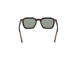 Vista posteriore Web Eyewear WE0392 (56N)