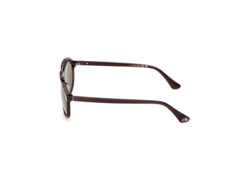 Vista laterale Web Eyewear WE0394 (56N)