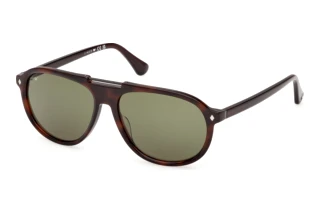 Vista frontale Web Eyewear WE0394 (56N)