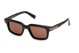 Vista frontale Zegna EZ0312 (01E)
