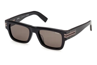 Vista frontale Zegna EZ0317 (05E)