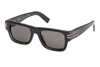 Vista frontale Zegna EZ0317 (20D)