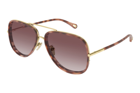 Occhiali da vista Chloé CH0382S 004