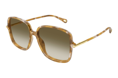 Occhiali da vista Chloé CH0396S 003